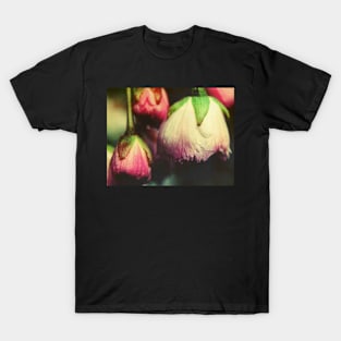 Blossom T-Shirt